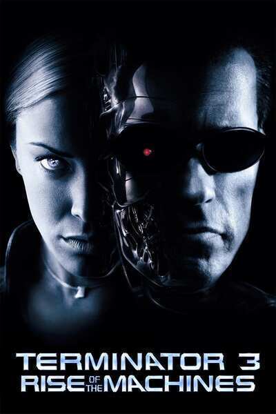 Terminator 3: Rise of the Machines Hindi Dubbed Movie Poster (2003)