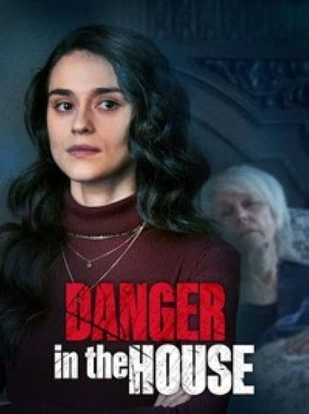 Danger in the House Hindi Dubbed Movie Poster (2022)
