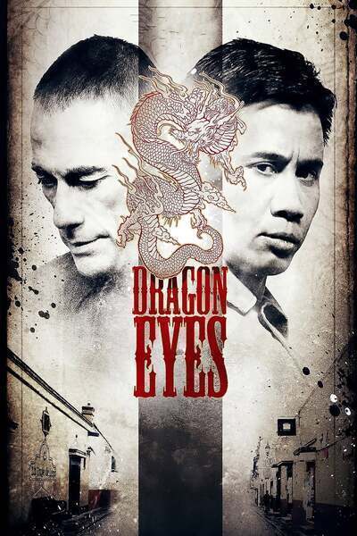 Dragon Eyes Hindi Dubbed Movie Poster (2012)