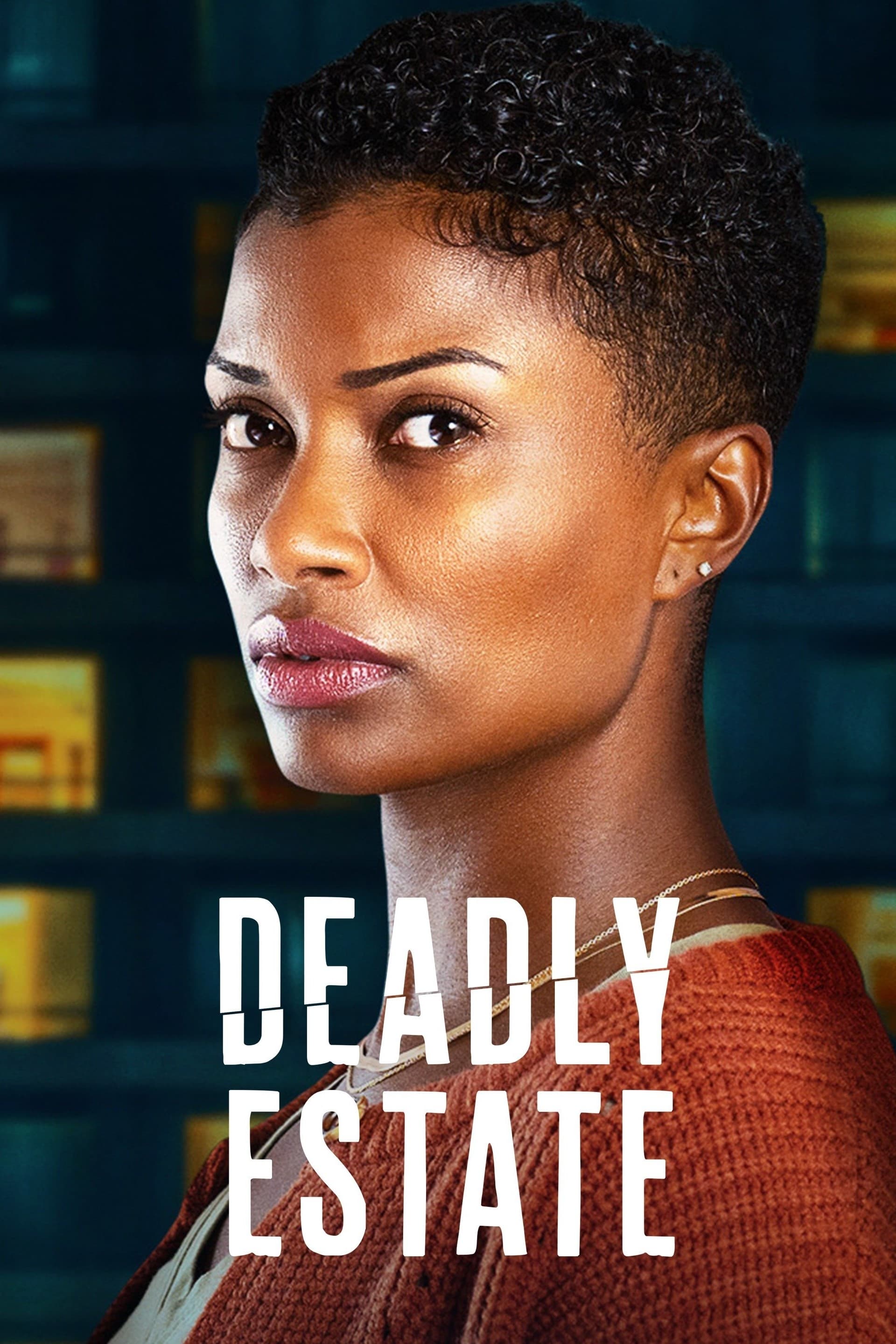 Deadly Estate Hindi Dubbed Movie Poster (2023)