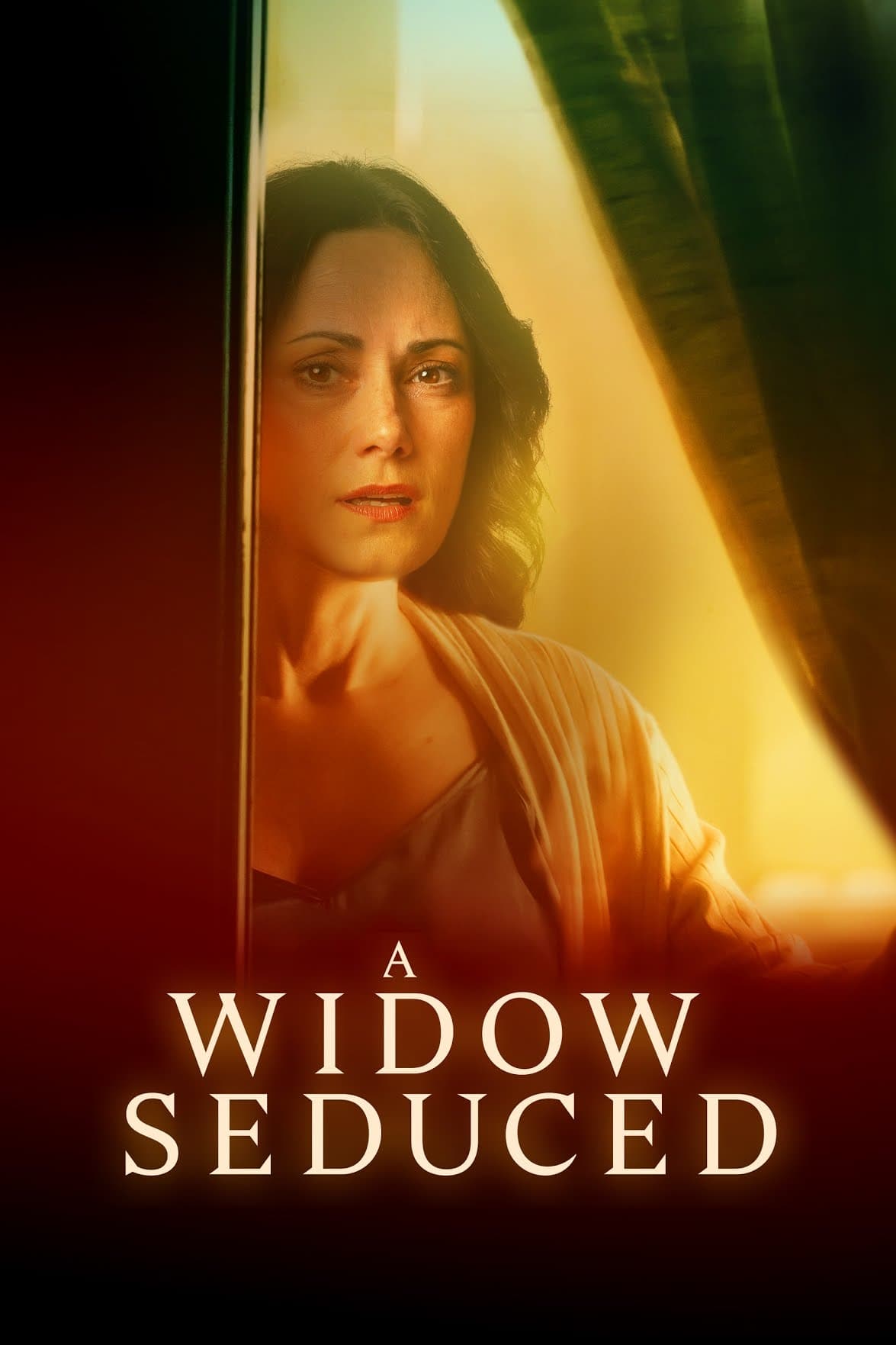 A Widow Seduced Hindi Dubbed Movie Poster (2024)