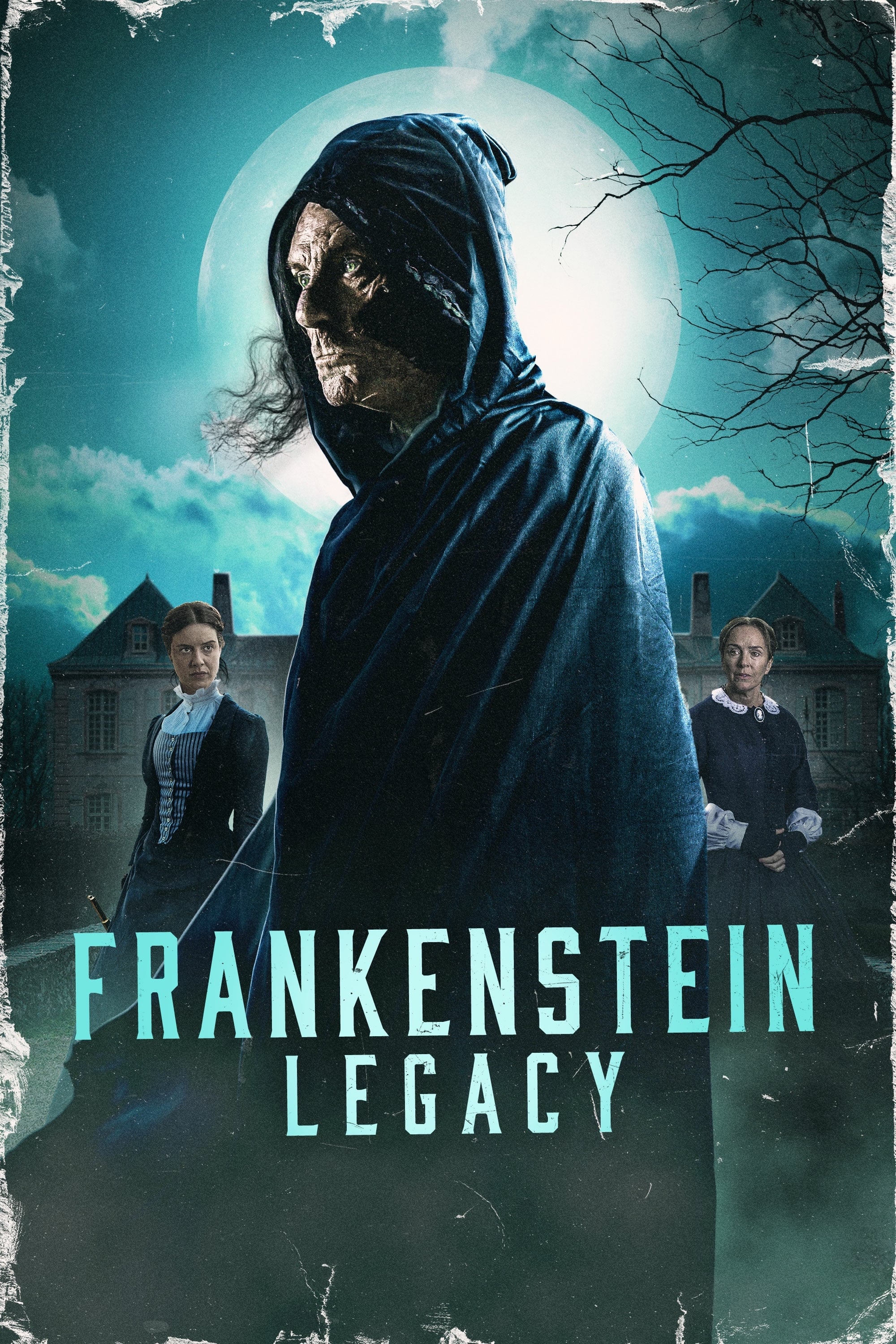 Frankenstein: Legacy Hindi Dubbed Movie Poster (2024)