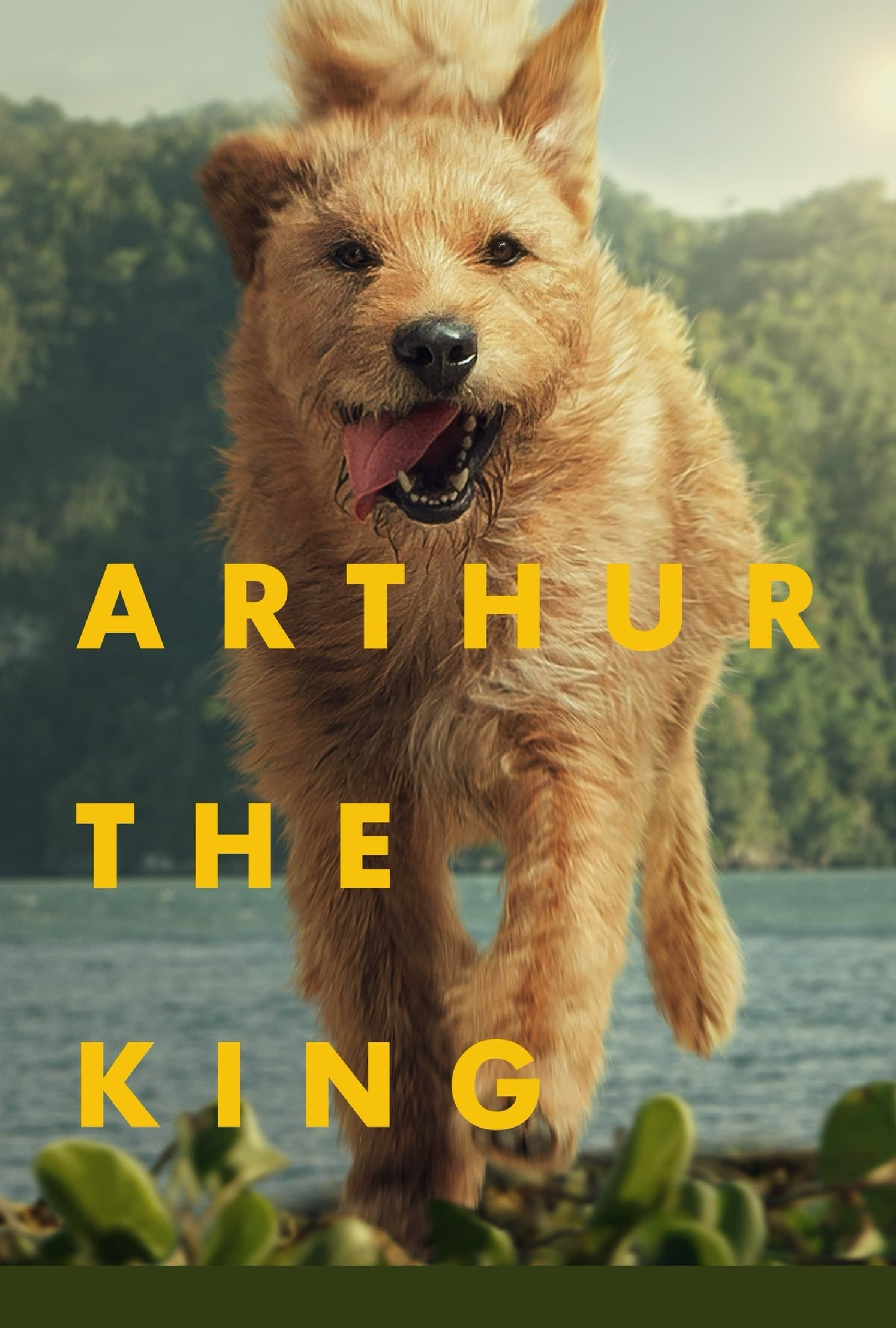 Arthur the King Hindi Dubbed Movie Poster (2024)