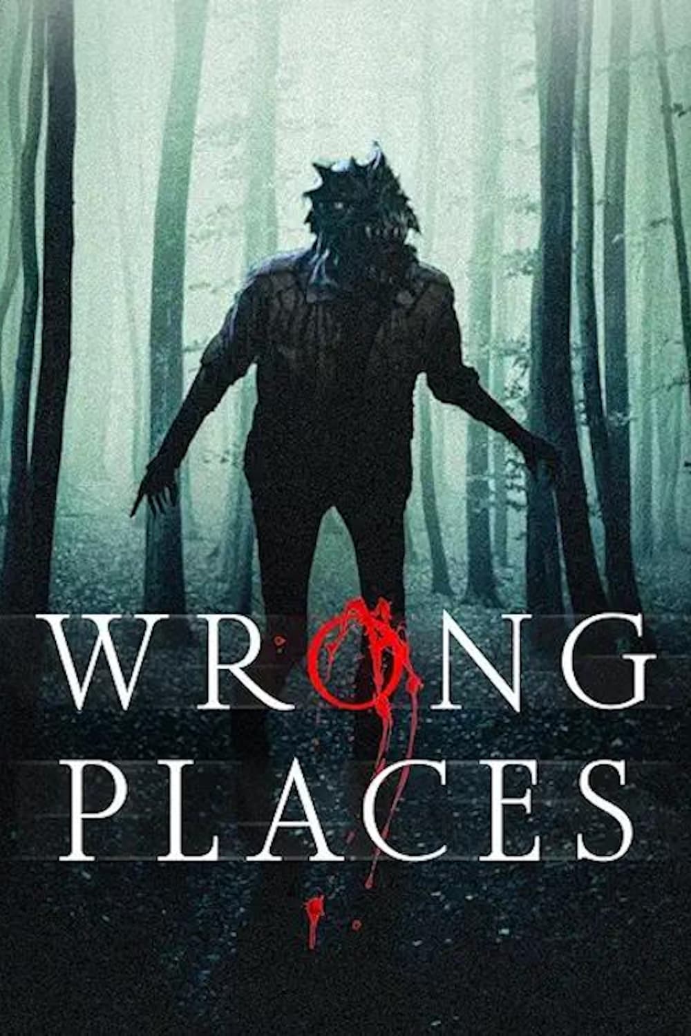 Wrong Places Hindi Dubbed Movie Poster (2024)