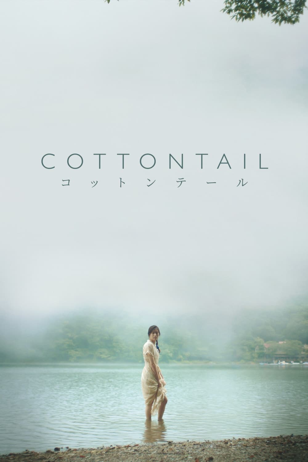 Cottontail Hindi Dubbed Movie Poster (2024)