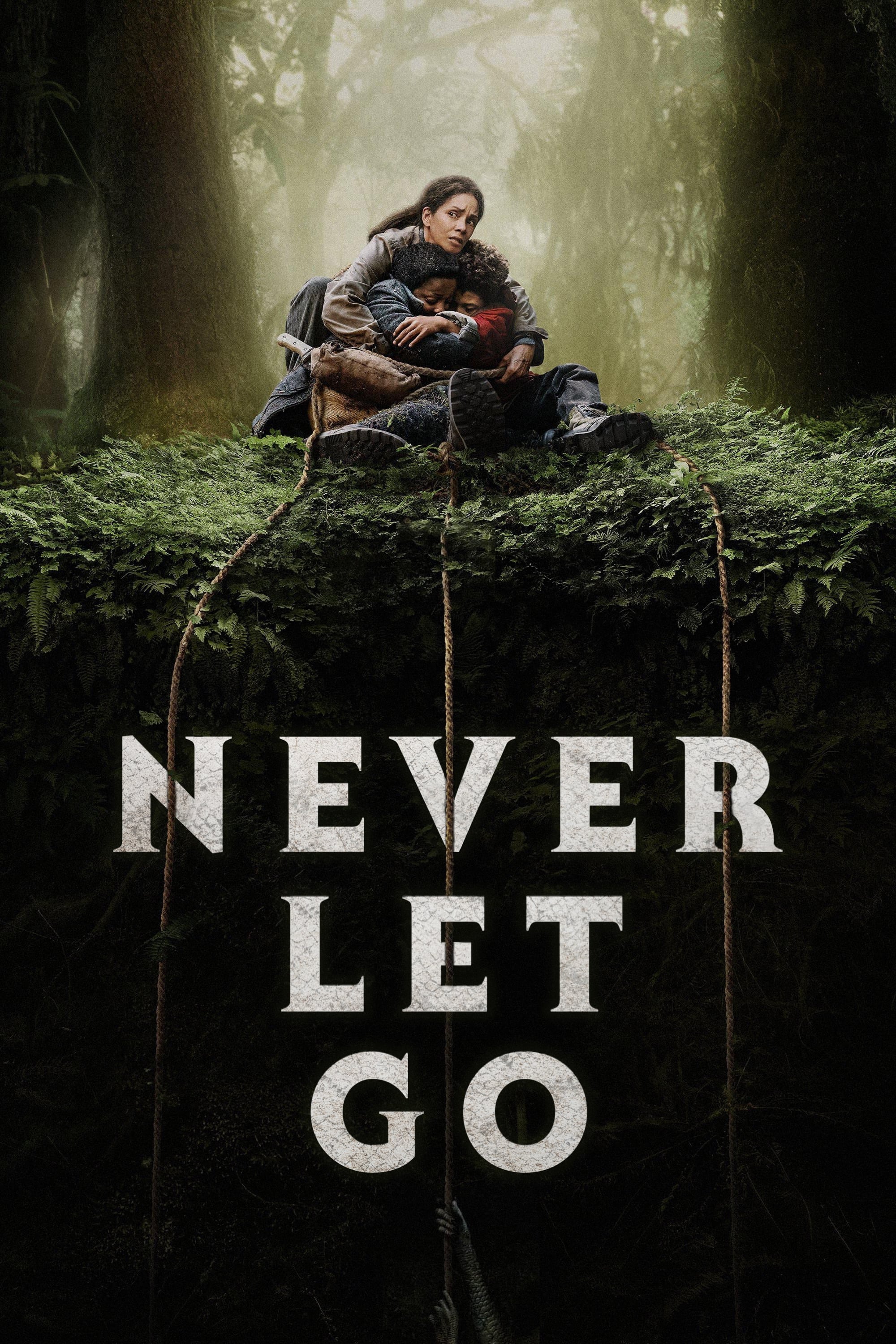 Never Let Go Hindi Dubbed Movie Poster (2024)