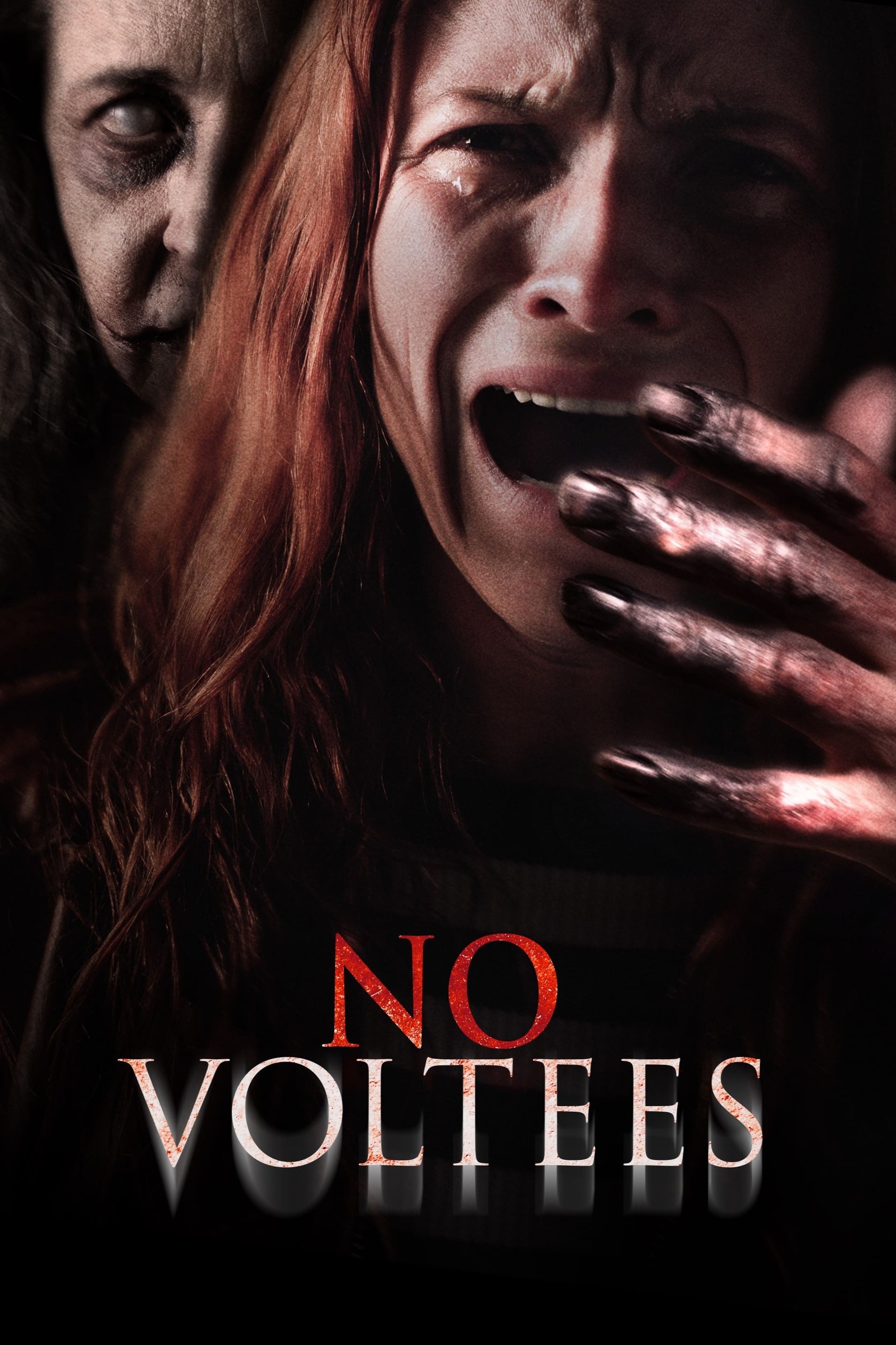 No Voltees Hindi Dubbed Movie Poster (2024)