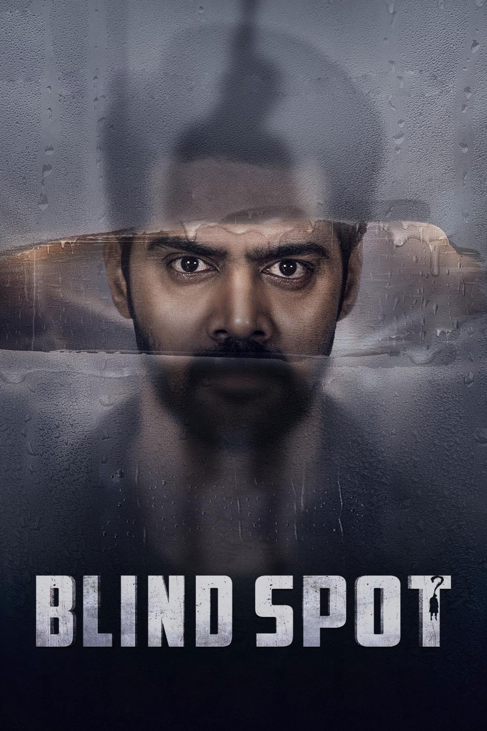 Blind Spot Hindi Dubbed Movie Poster (2025)