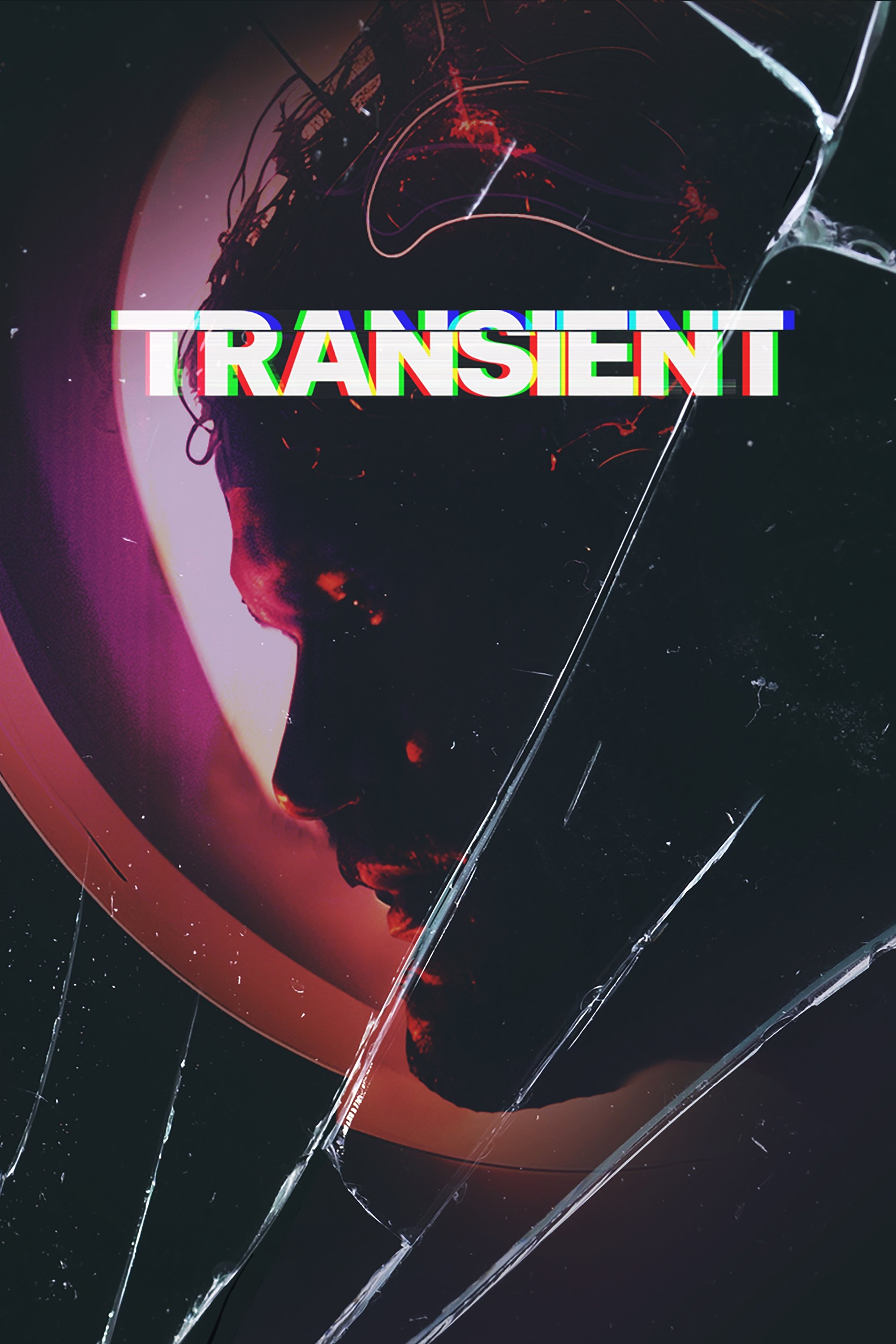 Transient Hindi Dubbed Movie Poster (2024)