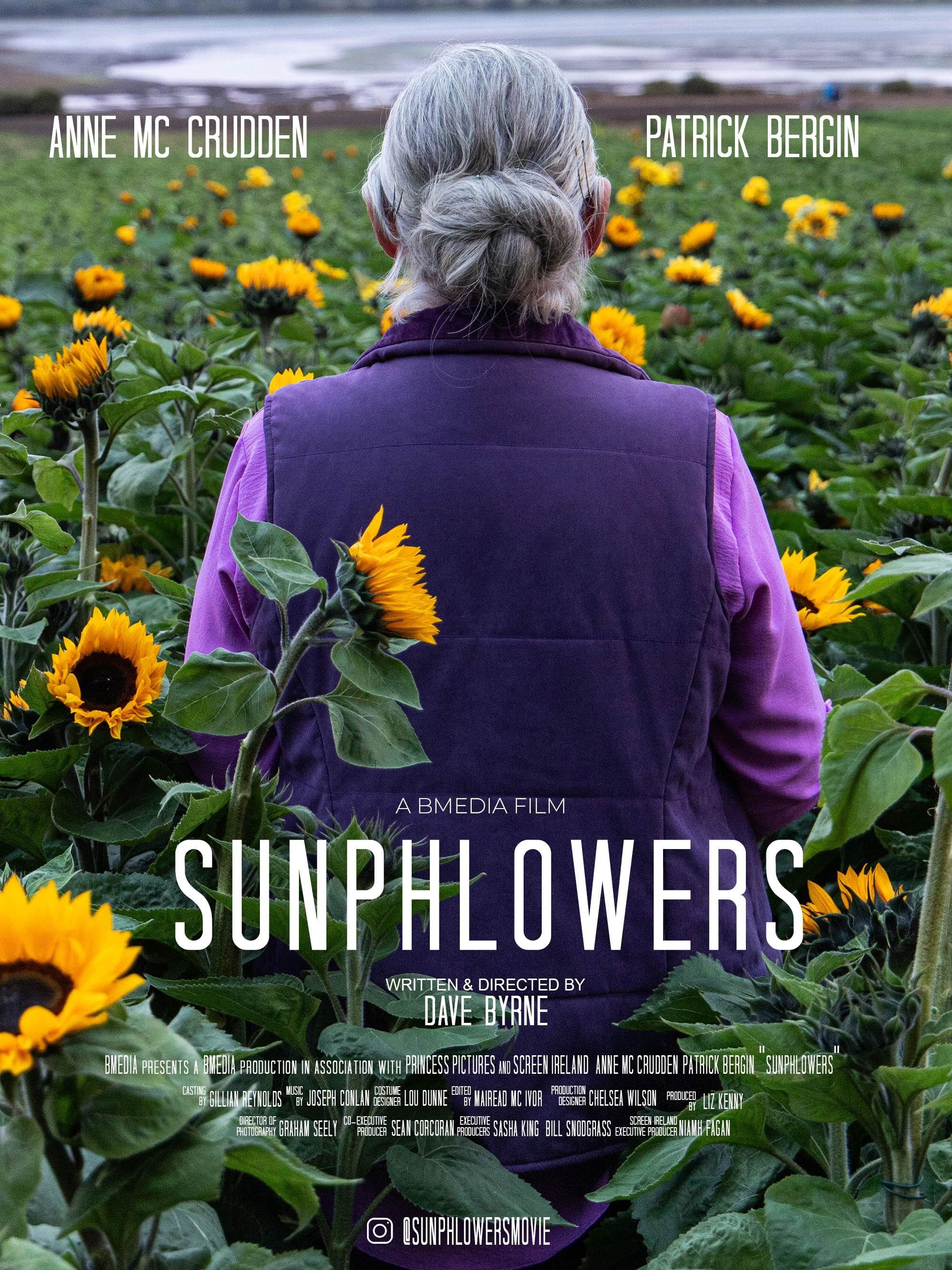 Sunphlowers Hindi Dubbed Movie Poster (2025)